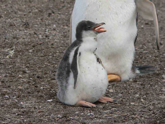 ../../Pictures/241209/151 heiss.JPG